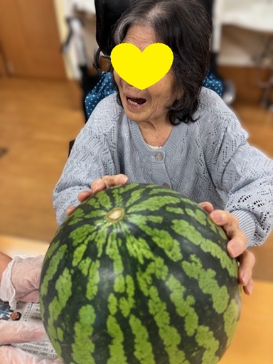 夏のお楽しみ🍉