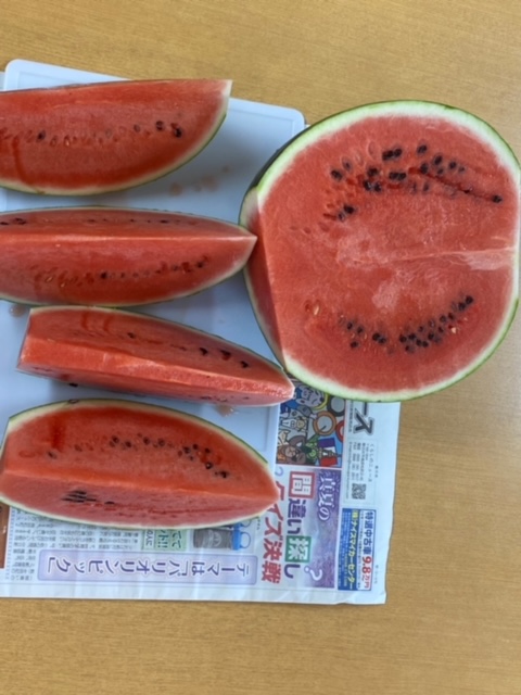 待ちに待ったすいか🍉の日