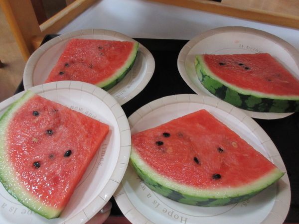 🍉夏の味覚を楽しみました🍉